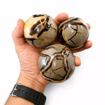 3 polished Septaria spheres, 1.330kg