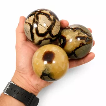 3 polished Septaria spheres, 1.340kg