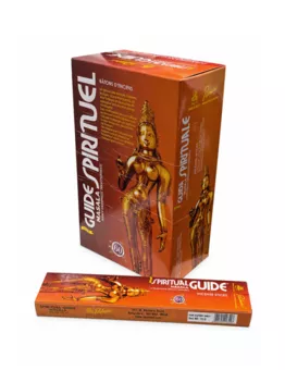 Padmini Masala Spiritual Guide Incense 15g