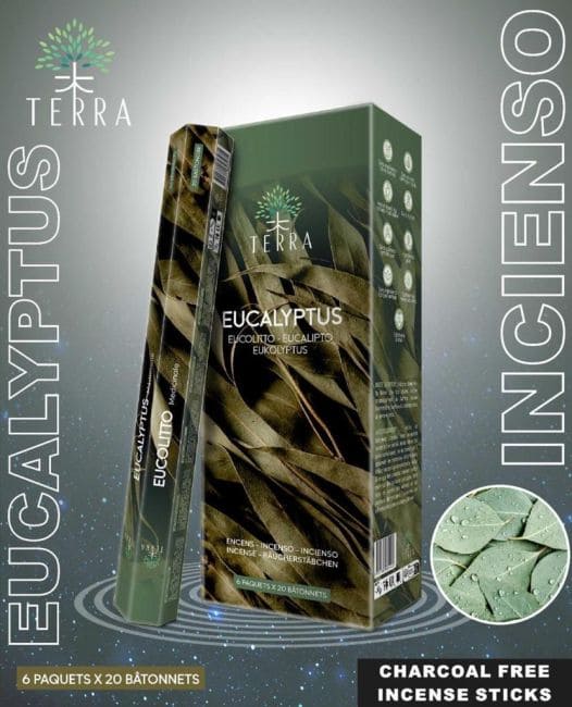 Terra incense, eucalyptus, hexa without charcoal