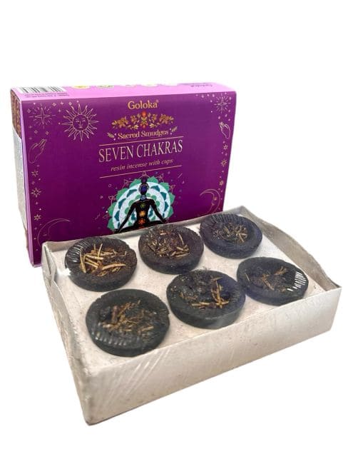 Goloka charcoal pellet with Seven Chakras resin