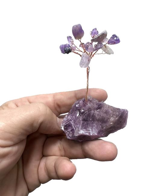 Tree of Life Amethyst on Druse 8cm